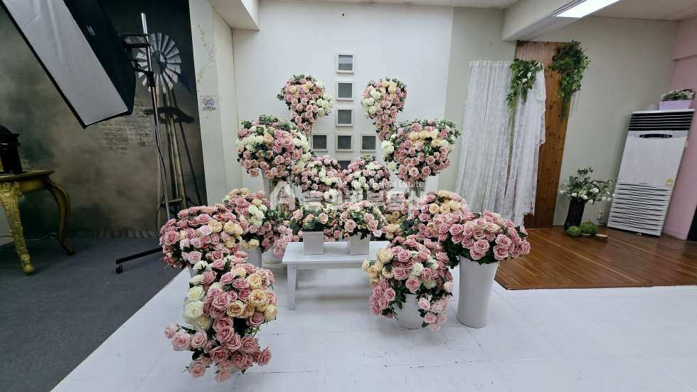 충남 천안동남구 신부동 천안상가건물 임대매매 모두가능한 천안에서 이름난 유명 스튜디오! 천안터미널 부근! 매매 매물번호 10334 사진 9