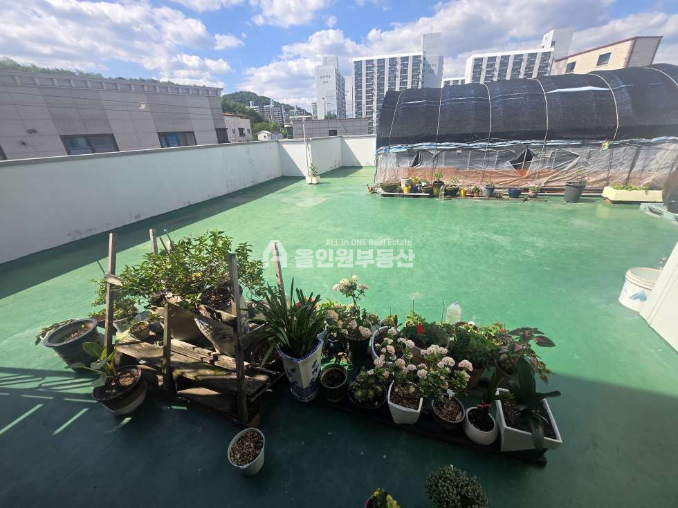 충남 천안서북구 쌍용동 1동 초역세권!! 공간의 품격이 다르다! 실거주와 임대 수익을 동시에 잡는 쌍용동 명당,투자자의 마음을 아는 천안상가주택매매 매매 매물번호 10580 사진 10